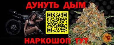 крисы Краснодар